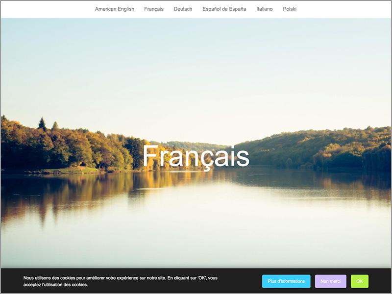 COOKIE MULTILANGUAGE