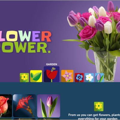FLOWER POWER